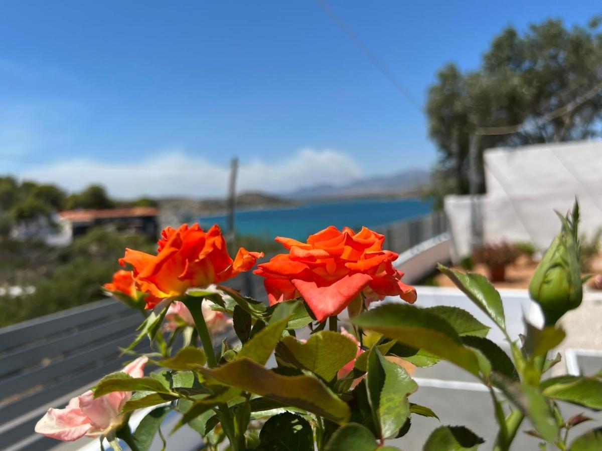 Oceanus Summer House Salamina Exterior foto