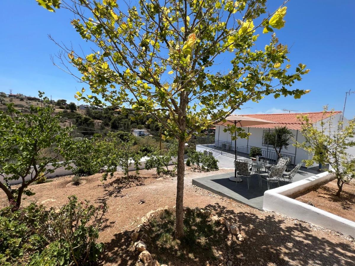 Oceanus Summer House Salamina Exterior foto