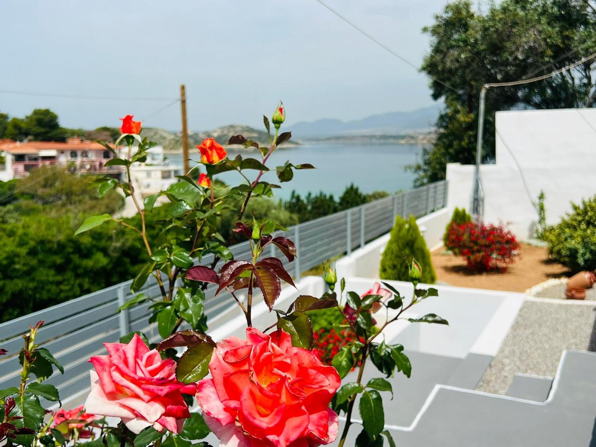 Oceanus Summer House Salamina Exterior foto
